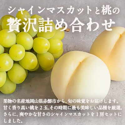 シャインマスカット 大房 1房 白桃 2玉 詰合せ 合計約1.3kg  [NO5765-1304]