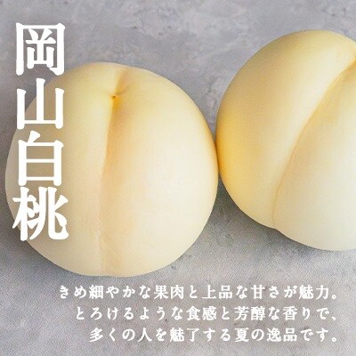 シャインマスカット 大房 1房 白桃 2玉 詰合せ 合計約1.3kg  [NO5765-1304]