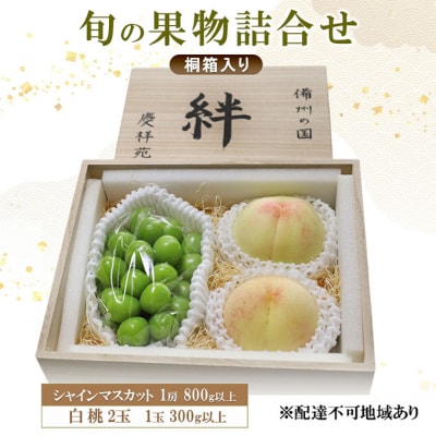 シャインマスカット(特秀) 1房 800g以上 白桃 2玉 1玉300g[NO5765-1272] 