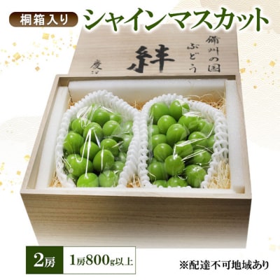 シャインマスカット(特秀) 2房 1房800g以上 桐箱入り [NO5765-1273]