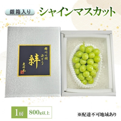 ぶどう シャインマスカット(特秀) 1房 800g以上 銀箱入り[NO5765-1276]
