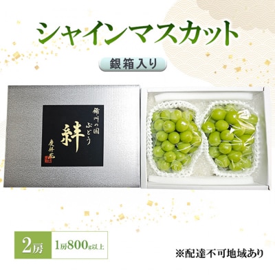 シャインマスカット(特秀) 2房 1房800g以上 銀箱入り[NO5765-1277]