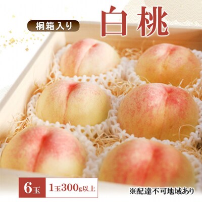 もも 2025年 白桃 6玉 1玉300g以上 桐箱入り [NO5765-1275]