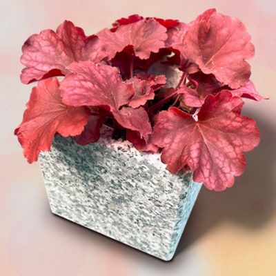 自然石フラワーポット サイズ(約)縦12cm×横12cm×高さ12cm[NO5765-1215]