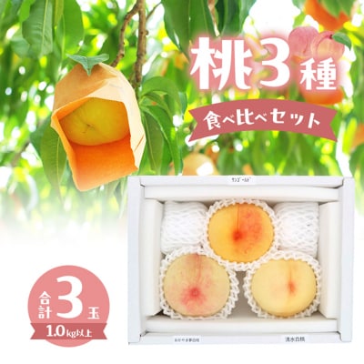 桃 2026年 桃3種食べ比べセット 3種×各1玉 計1.0kg以上[NO5765-1313]