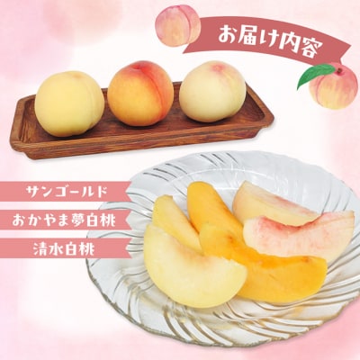 桃 2026年 桃3種食べ比べセット 3種×各1玉 計1.0kg以上[NO5765-1313]