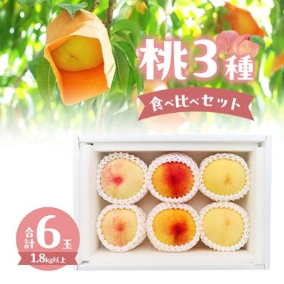 桃 2026年 桃3種食べ比べセット 3種×各2玉 計1.8kg以上[NO5765-1314]