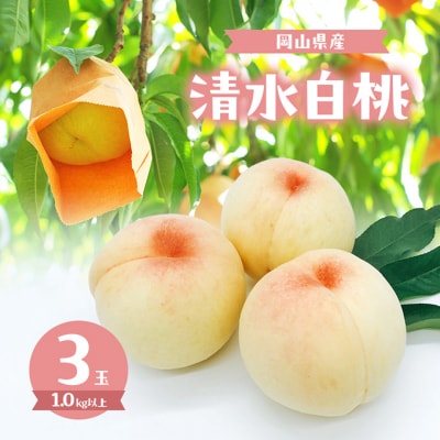 �� 2026�N ���ʌ��� �������� 3�� �v1.0kg�ȏ�[NO5765-1315]