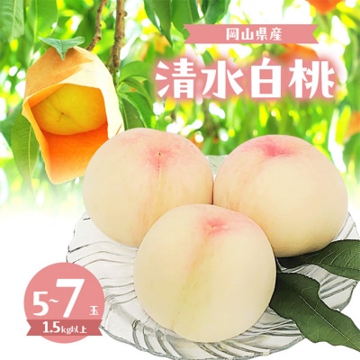 �� 2026�N ���ʌ��� �������� 5�`7�� �v1.5kg�ȏ�[NO5765-1316]