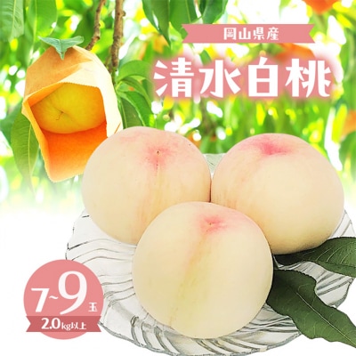 �� 2026�N ���ʌ��� �������� 7�`9�� �v2.0kg�ȏ�[NO5765-1317]