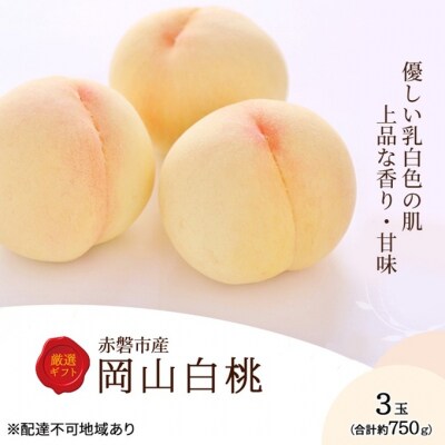 桃 2026年 先行予約 岡山白桃 3玉 約750g 化粧箱入り [NO5765-1322]