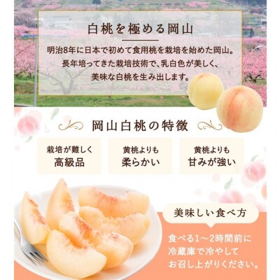 桃 2026年 先行予約 岡山白桃 3玉 約750g 化粧箱入り [NO5765-1322]