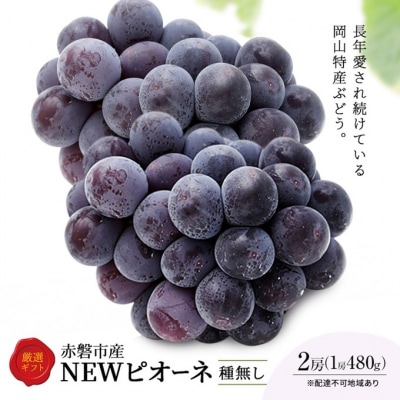ぶどう 2026年 先行予約 ピオーネ 2房 1房約480g 化粧箱入り [NO5765-1325]