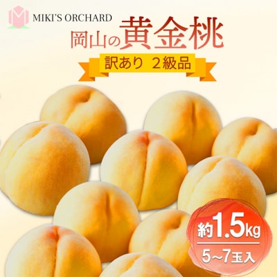 桃 【 訳あり 2級品 】 2026年 先行予約  黄金桃 約1.5kg [NO5765-1340]