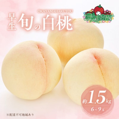 桃 2026年 先行予約 早生の旬の 白桃 約1.5kg 6～9玉 進物用[NO5765-1415]