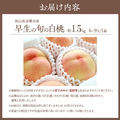 桃 2026年 先行予約 早生の旬の 白桃 約1.5kg 6～9玉 進物用[NO5765-1415]