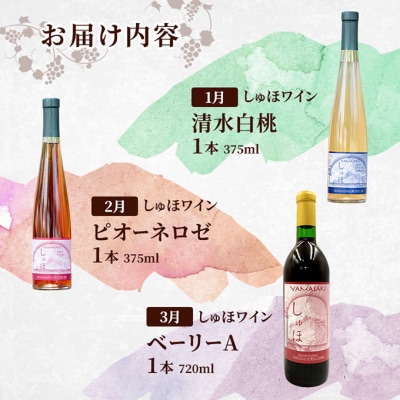 定期便 2026年 先行予約 是里ワイナリー人気商品と果物 12回コース [NO5765-1343]