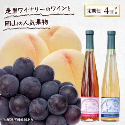 定期便 2026年 先行予約 是里ワイナリーのワインと果物 4回コース [NO5765-1347]