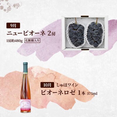 定期便 2026年 先行予約 是里ワイナリーのワインと果物 4回コース [NO5765-1347]