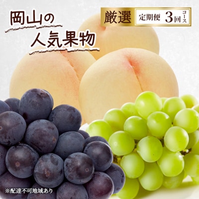 定期便 2026年 先行予約 岡山の人気果物 厳選 3回コース [NO5765-1348]