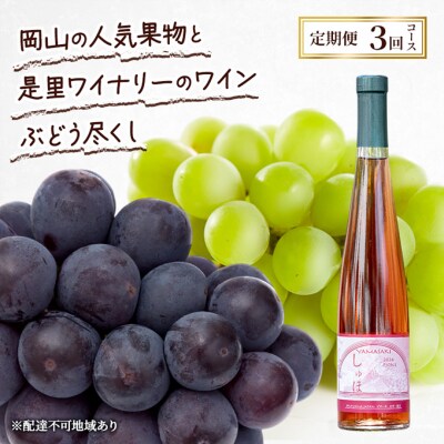 定期便 2026年 先行予約 果物と是里ワイナリーのワイン 3回コース [NO5765-1349]