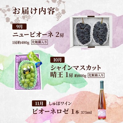 定期便 2026年 先行予約 果物と是里ワイナリーのワイン 3回コース [NO5765-1349]