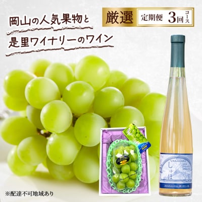 定期便 2026年 先行予約 是里ワイナリーのワインと果物 3回コース [NO5765-1350]