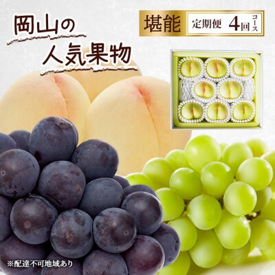 定期便 2026年 先行予約 岡山の人気果物 堪能 4回コース[NO5765-1346]