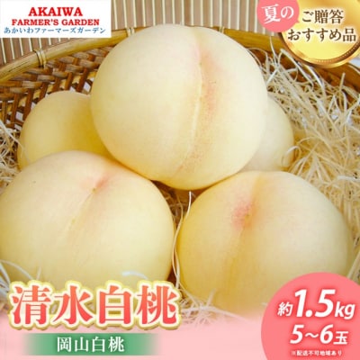 桃 2026年 先行予約 清水 白桃 約1.5kg 5～6玉 [NO5765-1356]