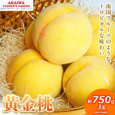  2026N s\  750g 3 [NO5765-1364]