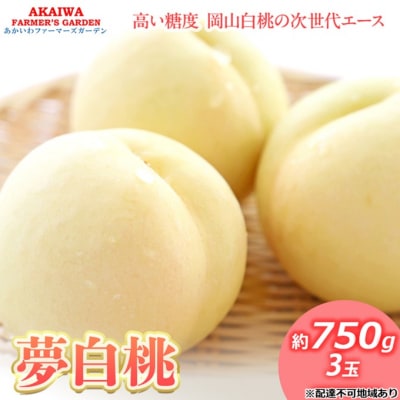 桃 2026年 先行予約 おかやま 夢 白桃 約750g 3玉 [NO5765-1367]