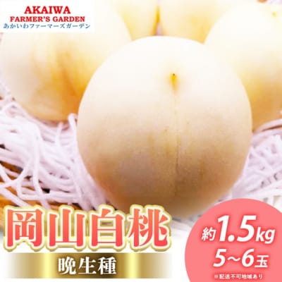  2026N s\ R  (Ӑ) 1.5kg 5`6[NO5765-1371]