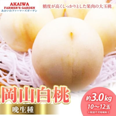 桃 2026年 先行予約 岡山の白桃 (晩生種)約3.0kg 10～12玉[NO5765-1372]