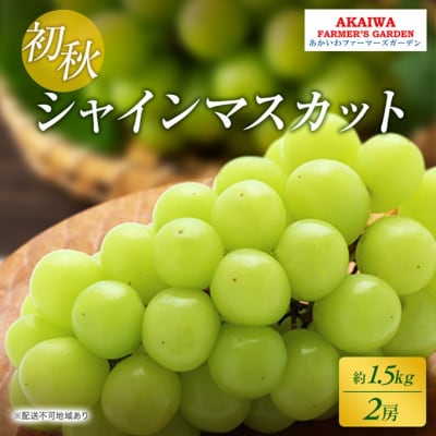 ぶどう 2026年 先行予約 シャインマスカット 約1.5kg 2房 初秋[NO5765-1380]