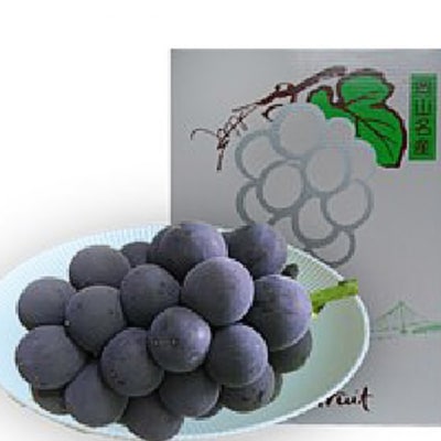 ぶどう 2026年 先行予約 オーロラブラック 約600g 1房 [NO5765-1385]