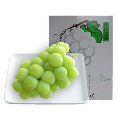 ぶどう 2026年 先行予約 瀬戸ジャイアンツ 約600g 1房 [NO5765-1387]