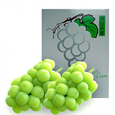 ぶどう 2026年 先行予約 瀬戸ジャイアンツ 約1.2kg 2房 [NO5765-1388]