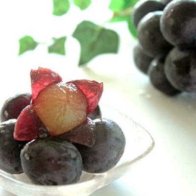 ぶどう 2026年 先行予約 ニューピオーネ 約1.2kg 2房 [NO5765-1390]