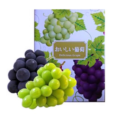 ぶどう 2026年 先行予約 シャインマスカット オーロラブラック 各1房[NO5765-1392]