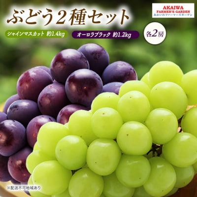 ぶどう 2026年 先行予約 シャインマスカット オーロラブラック 各2房[NO5765-1393]