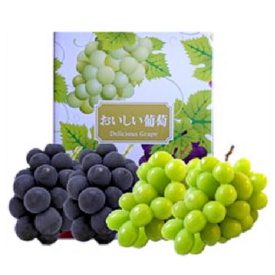 ぶどう 2026年 先行予約 シャインマスカット オーロラブラック 各2房[NO5765-1393]