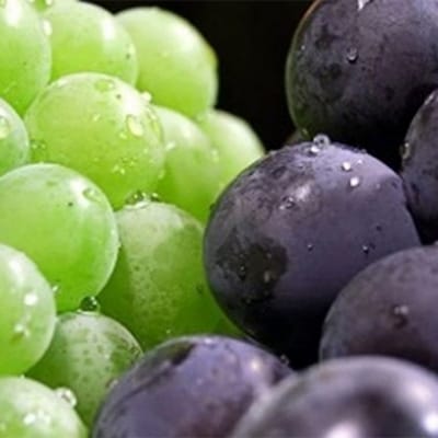 ぶどう 2026年 マスカットオブアレキサンドリア ニューピオーネ 各1房[NO5765-1396]
