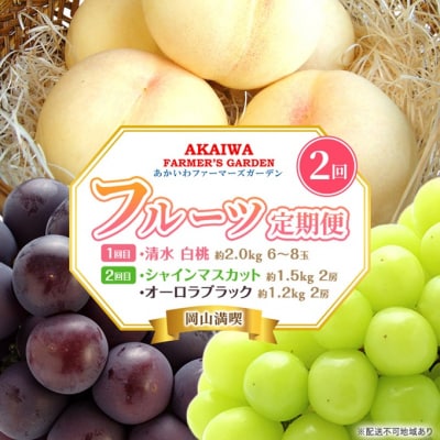 桃 ぶどう 定期便 2026年 清水 白桃 約2.0kg ぶどう 2種[NO5765-1398]