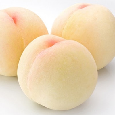 桃 ぶどう 定期便 2026年 清水 白桃 約2.0kg ぶどう 2種[NO5765-1398]