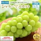 ぶどう 2026年 先行予約 定期便 岡山名産 シャインマスカット 3房[NO5765-1399]