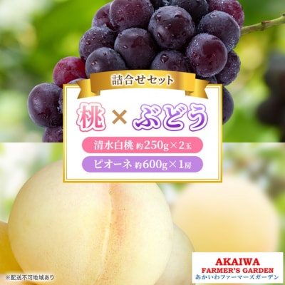  Ԃǂ 2026N   2 j[ sI[l 1[ [NO5765-1400]