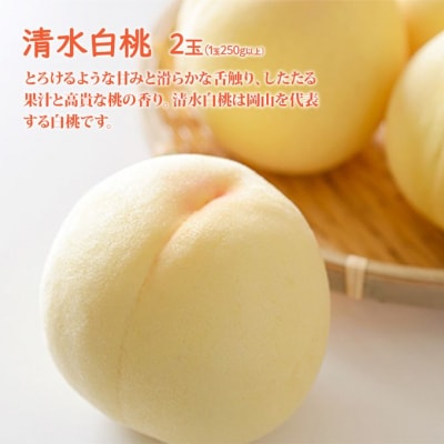 桃 ぶどう 2026年 清水 白桃 2玉 ニュー ピオーネ 1房 [NO5765-1400]