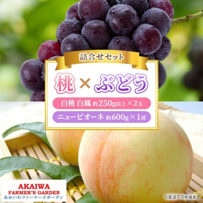  Ԃǂ l 2026N  P 2ʁ@j[ sI[l 1[ [NO5765-1401]