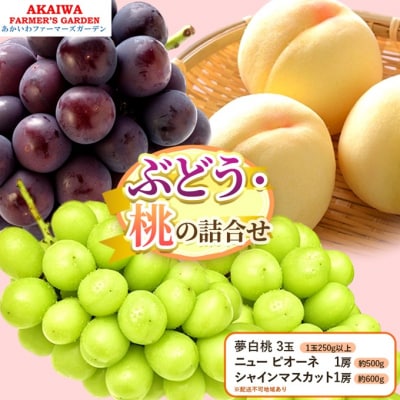  Ԃǂ l 2026N  3 j[ sI[l 1[ [NO5765-1404]