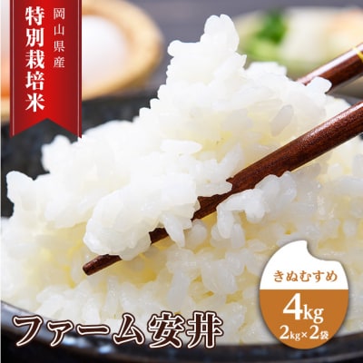 お米 【2025年11月～発送予定】 特別栽培米 きぬむすめ 4kg[NO5765-1407]